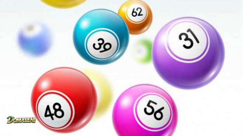 Domaleni Lottery - Choosing Numbers and Confirming Tickets