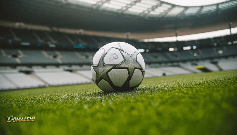 Domaleni Sports - Moneyline, Handicap, and Over/Under